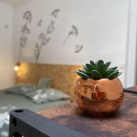 La Maison D'Angelique - Colocation Hoteliere A 150M Gare Tgv- Grande Cuisine Equipee & Salon - Fibre - Netflix Νιόρ Εξωτερικό φωτογραφία
